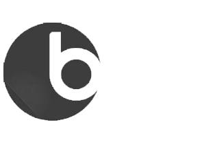 b.partners